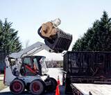  Clearwater Tree Removal Services 1447 Gulf to Bay Blvd #1 