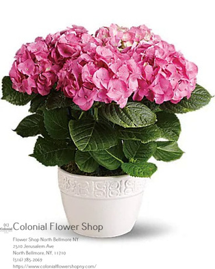  New Album of Colonial Flower Shop 2510 Jerusalem Ave - Photo 3 of 3