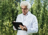 Releaf Specialists - Greensburg, Greensburg