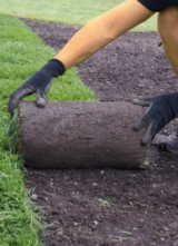 Oceanside Landscaping, Oceanside