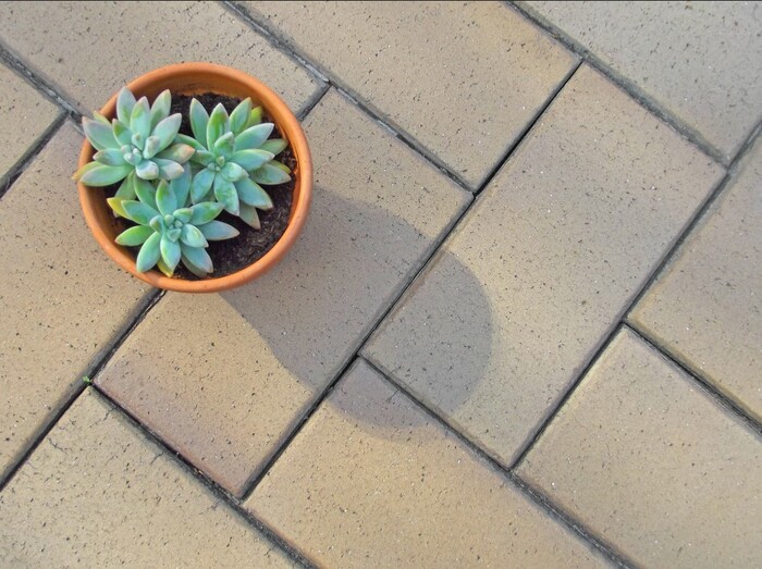  Profile Photos of Pacific Concrete Patio and Driveway 6016 102nd St NE - Photo 2 of 5