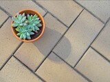 Pacific Concrete Patio and Driveway, Marysville