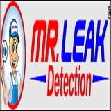 Mr. Leak Detection of Powder Springs, Powder Springs GA