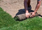 Orange County Landscaping Pros, Newport Beach