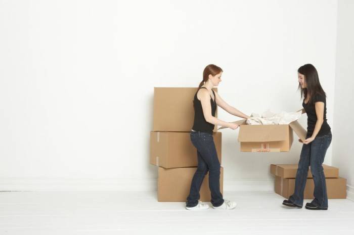  Profile Photos of Advantage Removals 688 - Photo 7 of 8