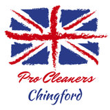 Pro Cleaners Chingford, Pro Cleaners Chingford, Chingford