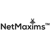 eCommerce development | NetMaxims | Mobile App Development Services, New York