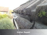 Gutter Repair, Gutter Cleanup, London