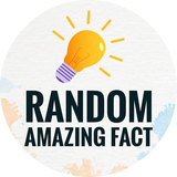 Random Amazing Facts, Surat