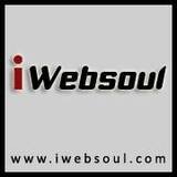 Intrepid Websoul Private Limited, Indore
