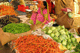 Orange The Destination Management Company, SOHNA ROAD , SECTOR-49 GURGAON