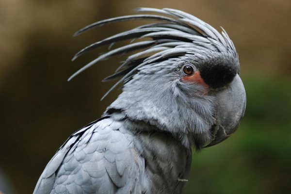  Profile Photos of Gina Birds Farm London - Photo 2 of 5