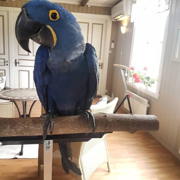  Profile Photos of Gina Birds Farm London - Photo 3 of 5