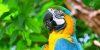  Profile Photos of Gina Birds Farm London - Photo 4 of 5
