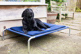 Berkeley Dog Beds Limited, Wherwell
