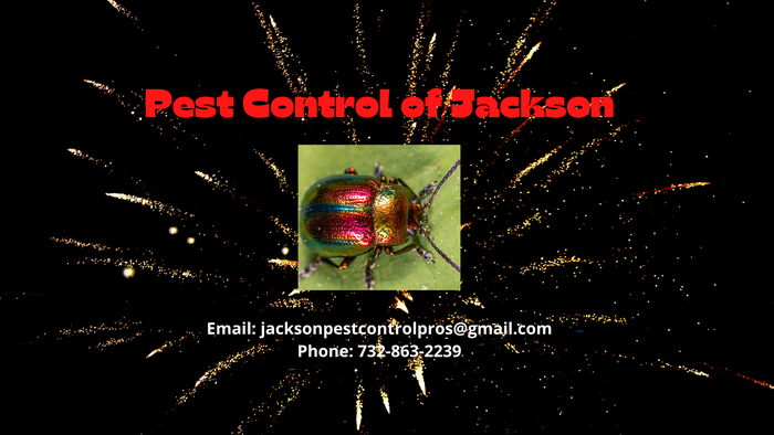  Profile Photos of Pest Control of Jackson 14 deer lane - Photo 2 of 6