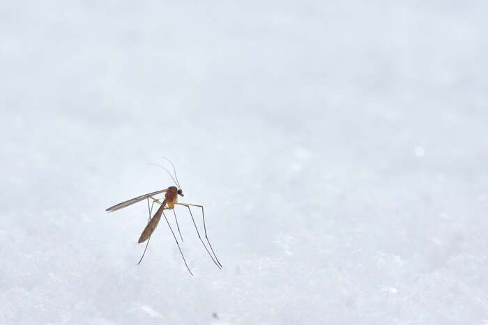  Profile Photos of Pest Control of Jackson 14 deer lane - Photo 3 of 6