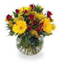  Profile Photos of Toronto Flower Delivery 716 Sheppard Ave E, North York, ON M2K 1B7, Canada - Photo 1 of 1