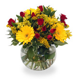 Toronto Flower Delivery, North York