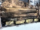  Gallery of Exterminateur Rive Nord 1176 Rue Bishop - Photo 1 of 3