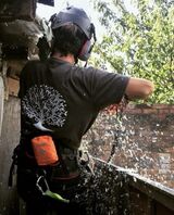 Warlingham & Surrey Tree Surgeon, Warlingham