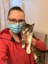 Trimmed Pets LLC, Kuna