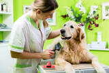 Trimmed Pets LLC, Kuna