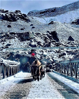  Profile Photos of NORTH SIKKIM TOUR PACKAGES- YUMTHANG & GURUDONGMAR LAKE 54 Ho Chi Minh Sarani - Photo 1 of 1