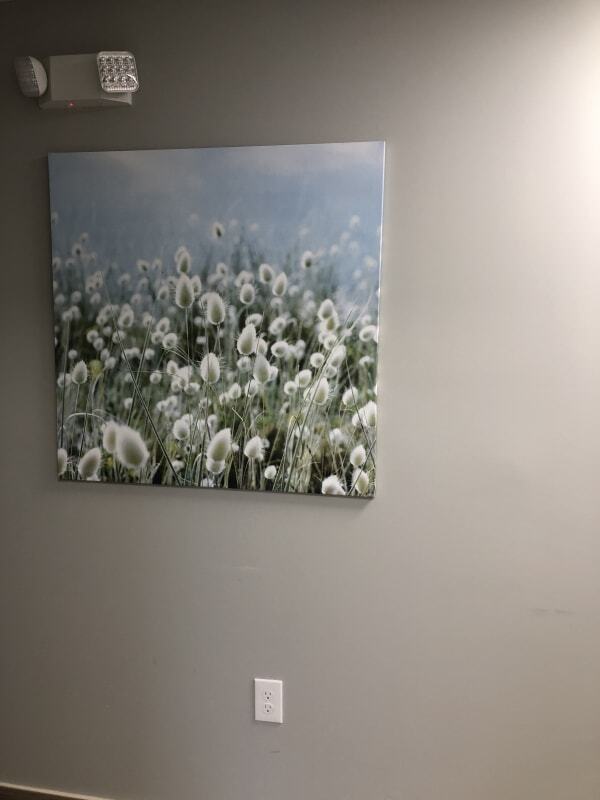  New Album of Anara Medspa& Cosmetic Laser Center, LLC 9 Auer Ct Suite C D East - Photo 1 of 8