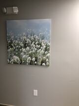  Anara Medspa& Cosmetic Laser Center, LLC 9 Auer Ct Suite C D East 
