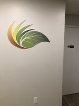  Anara Medspa& Cosmetic Laser Center, LLC 9 Auer Ct Suite C D East 