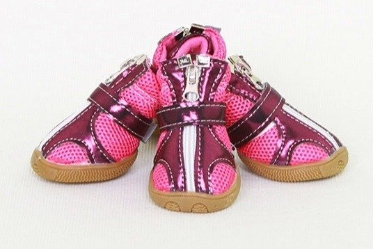  Dog clothes of Paws Couture 32 Craigton road - Photo 1 of 1
