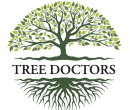 Tree doctors, Roundhay