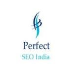 Perfect SEO India - Perfect Partner of Internet Marketing, Noida