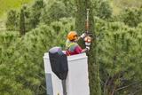  OC Tree Service Pros 16282 E Main St. #15F 