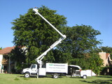  Pro Tree Removal Brisbane 73/20 Donkin Street 