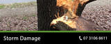  Pro Tree Removal Brisbane 73/20 Donkin Street 