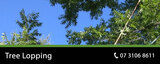  Pro Tree Removal Brisbane 73/20 Donkin Street 