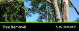  Pro Tree Removal Brisbane 73/20 Donkin Street 