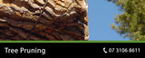  Pro Tree Removal Brisbane 73/20 Donkin Street 