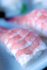  Wild Ginger 366 N University Ave 