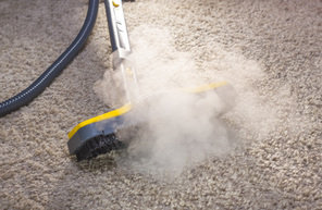  Profile Photos of Dothan Carpet Cleaning 2932 Ross Clark Circle Suite 428 - Photo 1 of 3