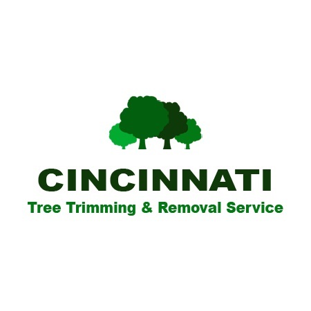  tree removal cincinnati of Cincinnati Tree Trimming & Removal Service 3231 Bishop St #1 - Photo 8 of 10