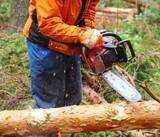  Cincinnati Tree Trimming & Removal Service 3231 Bishop St #1 