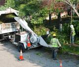  Cincinnati Tree Trimming & Removal Service 3231 Bishop St #1 