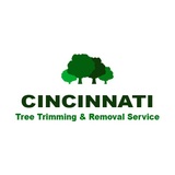  Cincinnati Tree Trimming & Removal Service 3231 Bishop St #1 