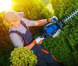  Cincinnati Tree Trimming & Removal Service 3231 Bishop St #1 