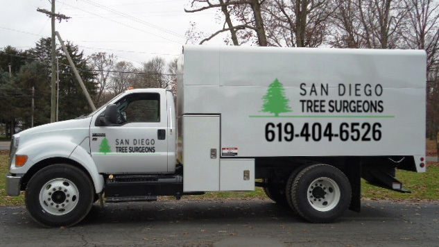  Profile Photos of San Diego Tree Surgeons 225 Broadway Suite 425 - Photo 4 of 8