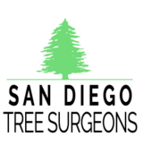  San Diego Tree Surgeons 225 Broadway Suite 425 