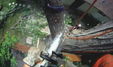  San Diego Tree Surgeons 225 Broadway Suite 425 